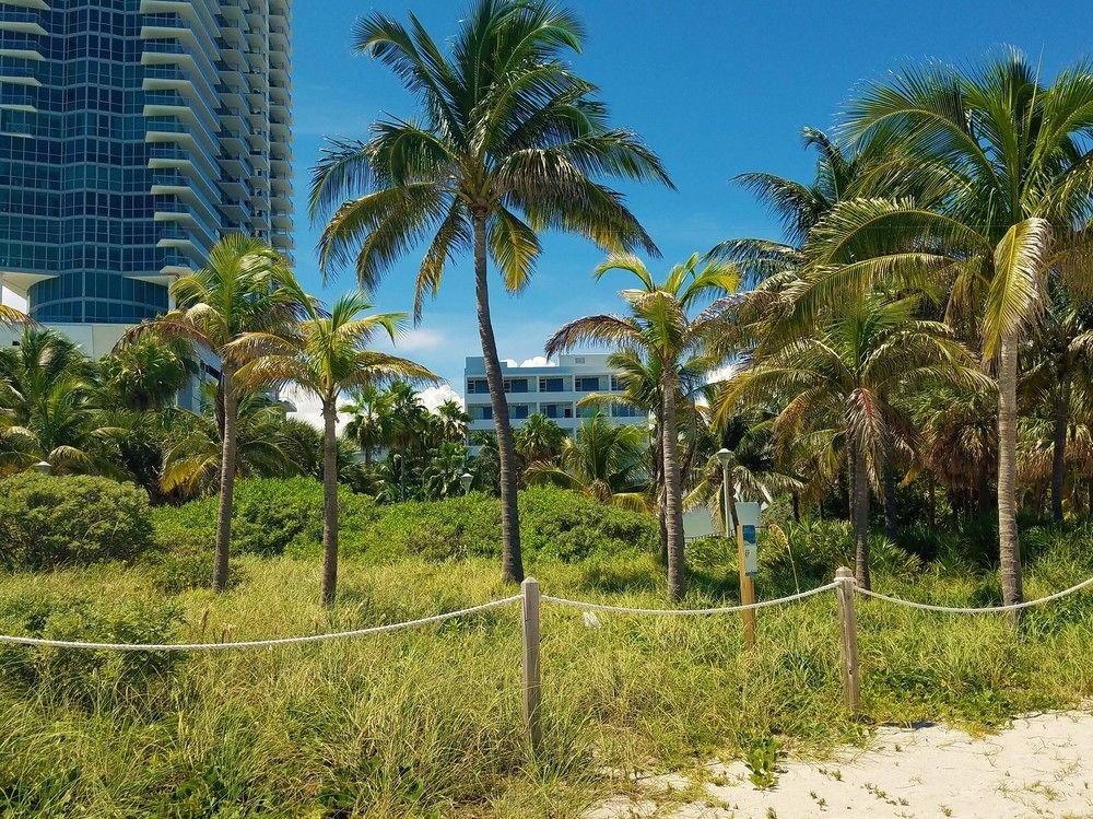 Seagull Hotel Miami Beach Exterior foto